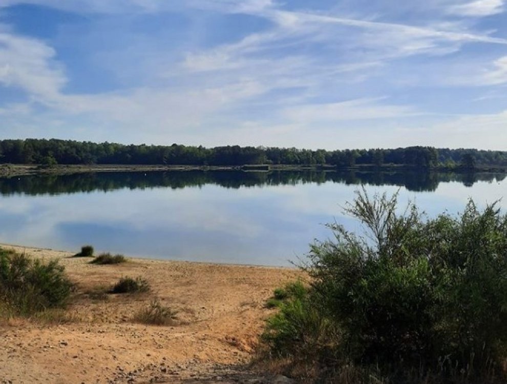 78552798 3107125749355295 9187280241255514112 n