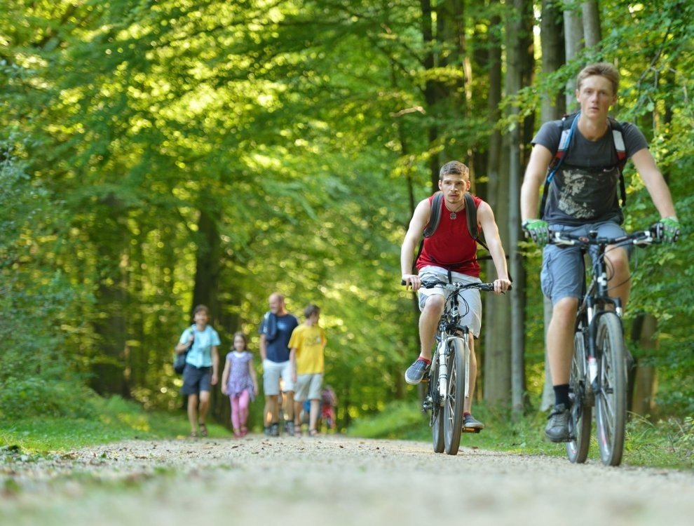 Entdecken Sie die Umgebung