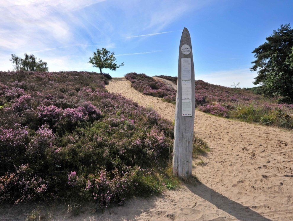 Nationalpark Hoge Kempen