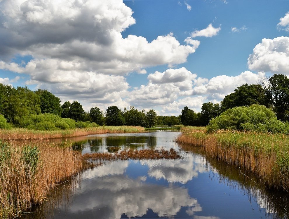Naturgebiet De Maten